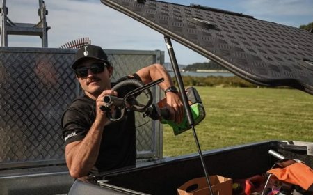 Expert Gardeners Gardening Services in Auckland That Transform Outdoor Spaces