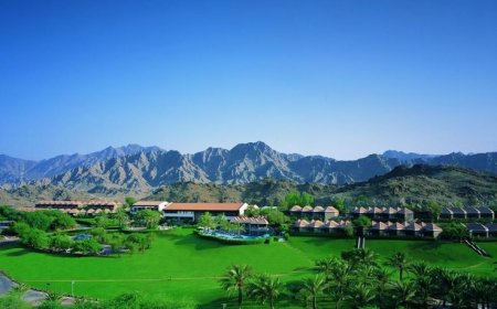 Dubai Desert Safari Packages: Discover the Ultimate Arabian  Adventure