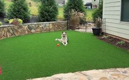 How to Maintain Artificial Grass Dubai with Dogs and Cats at Home