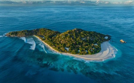 Top 10 Must-Visit Places in Seychelles for an Unforgettable Vacation
