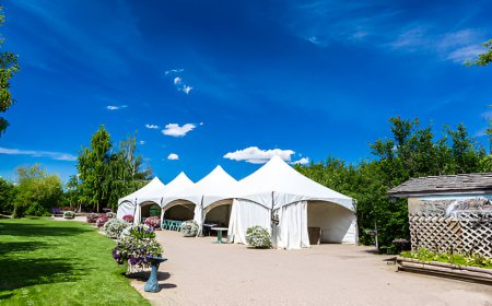 Affordable Party Rentals in Chicago for Any Event