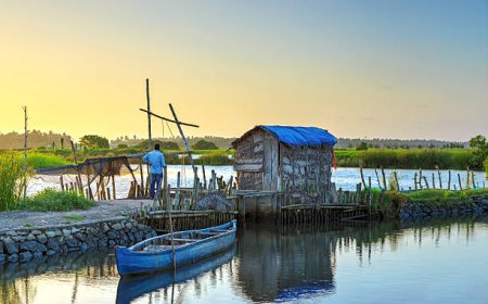 Kerala Tour Packages under 10000: Pocket-Friendly Kerala Adventures