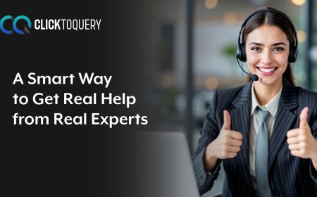 Online Business Advice Experts – A Complete Guide for Beginners