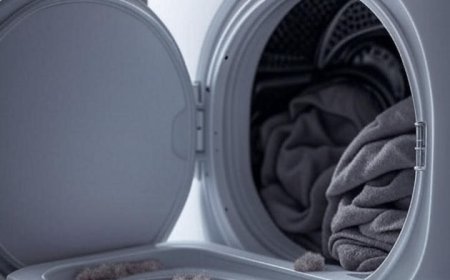 How often should you clean your dryer lint trap in Clovis to ensure peak performance