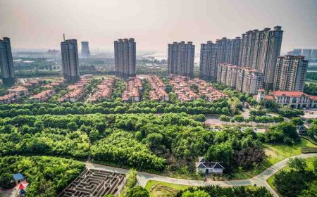 How to Check Builder Reputation Before Buying a Real Estate Unit