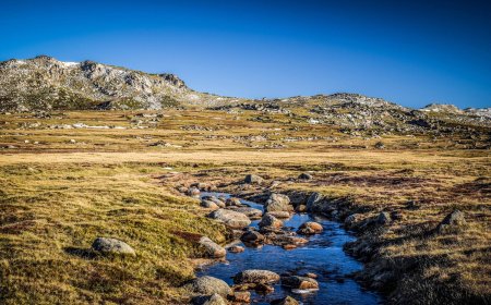 Top Private Wealth Management Services for High-Net-Worth Individuals