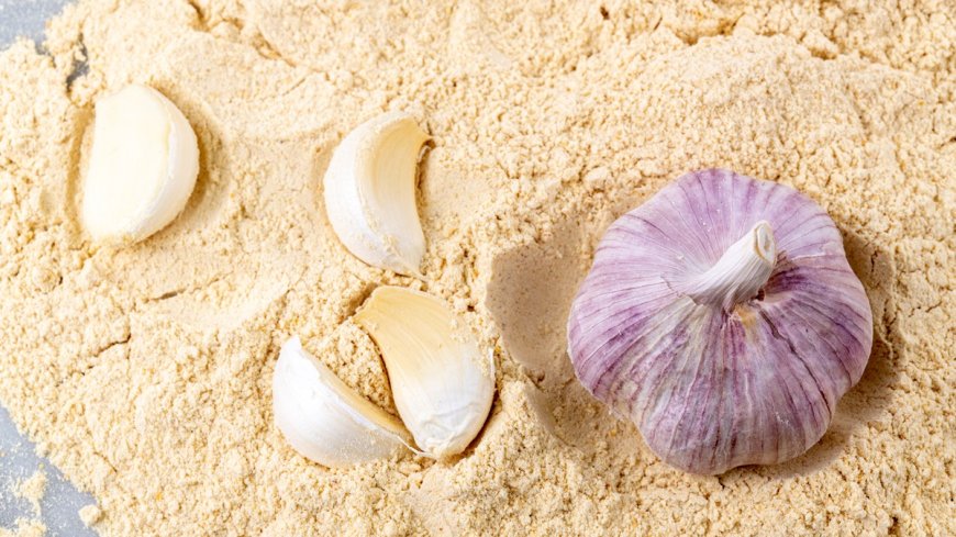 Comprehensive Approach to Setting Up a Garlic Powder Manufacturing Plant | IMARC Group Report