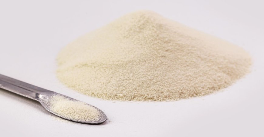 Cost Analysis for Setting up a Gelatin Powder Manufacturing Plant | Report by IMARC Group