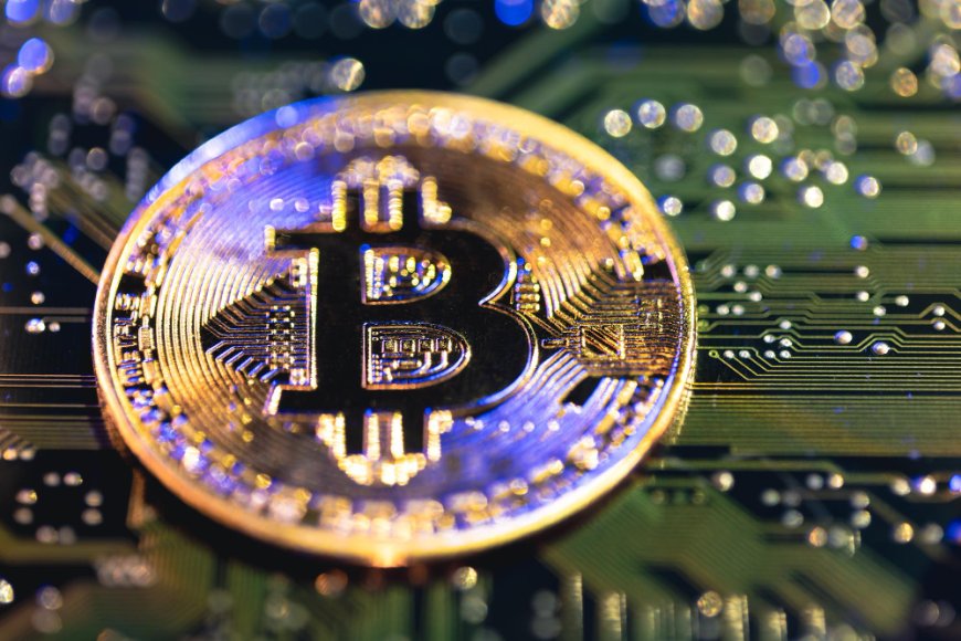 Manual vs. Automated Crypto Calculators: Which One Should You Use?