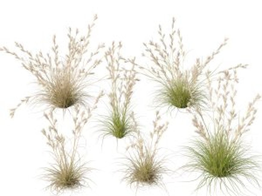 Free BIM Plants 3D Models Download – Instant Access