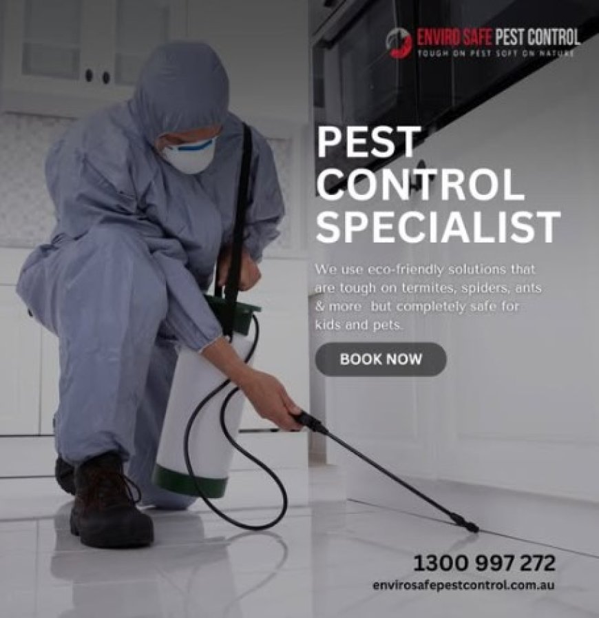 Protect Your Space: Proven Pest Control for Every Melbourne Suburb