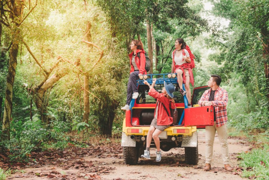 Experience the Wild in Style: Luxury Wildlife Adventure Tours to Africa