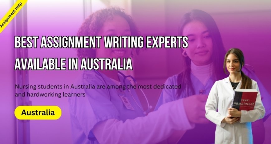 Best Assignment Writer Experts Available in Australia!