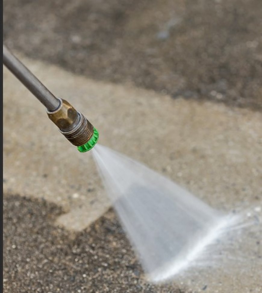 Gainesville Landscaping: Expert Design & Maintenance Services