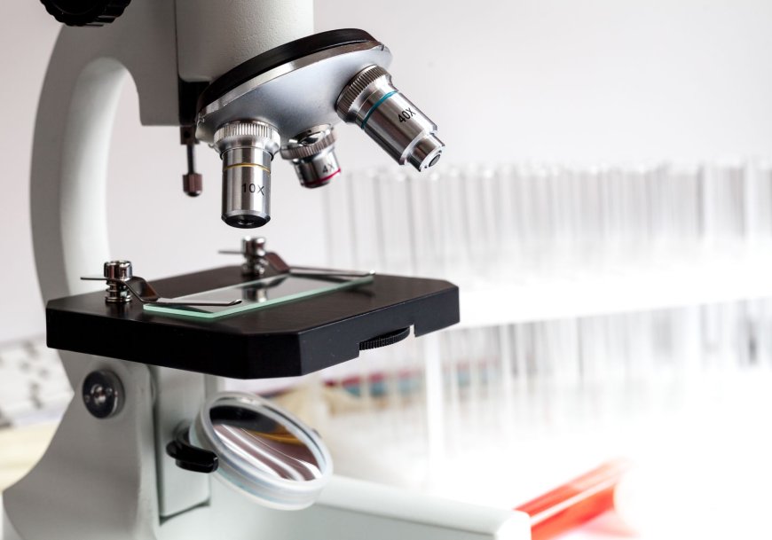 A Closer Look at Genetic Testing Services Available in Dubai