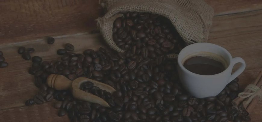 Coffee Bag Packaging: Choosing Between Kraft Paper, Foil, and Compostable Options