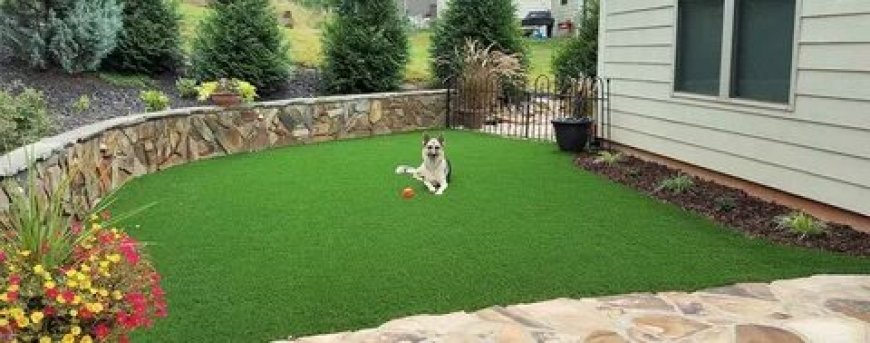 How to Maintain Artificial Grass Dubai with Dogs and Cats at Home
