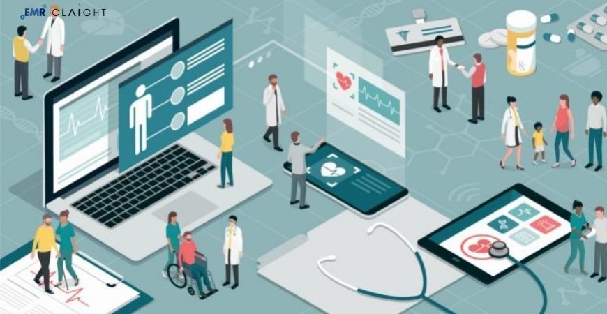 Global Healthcare Interoperability Solutions Market: Trends & Forecast 2025β2034