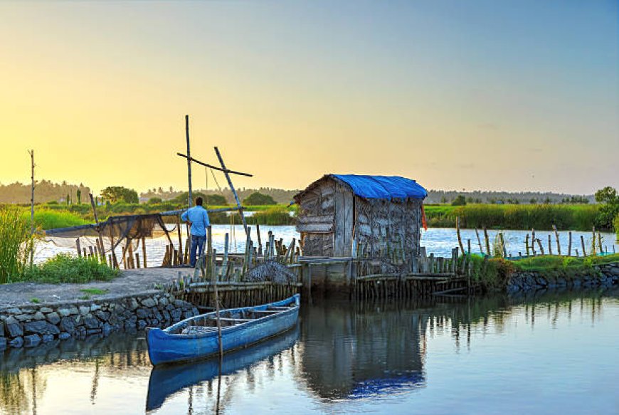 Kerala Tour Packages under 10000: Pocket-Friendly Kerala Adventures