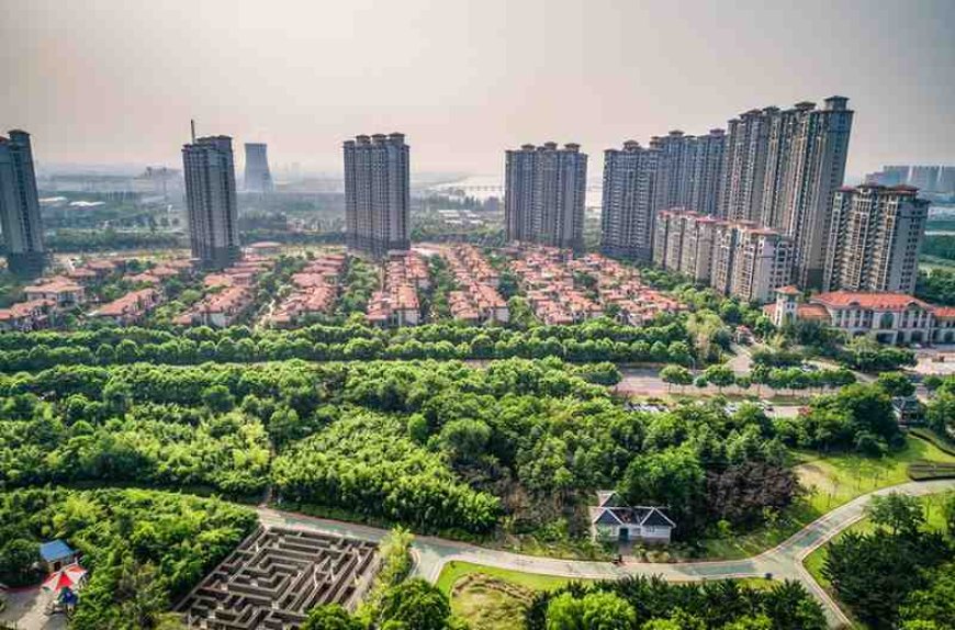 How to Check Builder Reputation Before Buying a Real Estate Unit