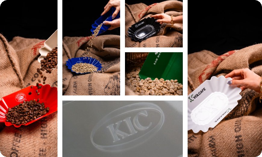 Best Coffee Lab Tray Sets for Professionals
