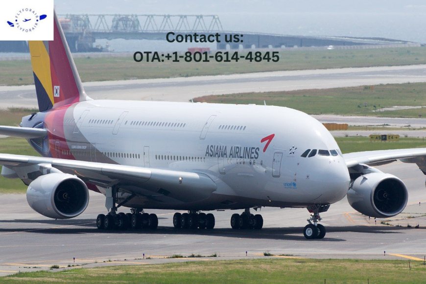 How Do I Speak to a Live Person at Asiana? -– Support That Actually Listens