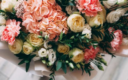 Blossoms for Every Moment: Why The Bloom Room Is Melbourne’s Trusted Florist