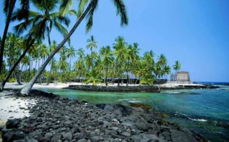 Why Should First-Time Visitors Try Oahu Hawaiian BBQ?