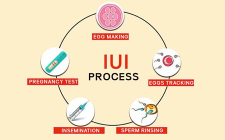 IUI Treatment Cost in Delhi - Dr Rhythm Gupta