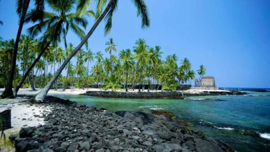 Why Should First-Time Visitors Try Oahu Hawaiian BBQ?