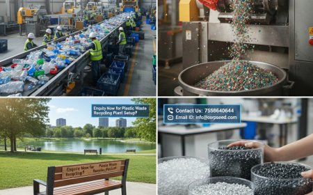 Plastic Recycling Business Guide: Setup, Cost, Machinery.