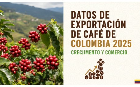 Datos de exportación de café de Colombia 2025: Crecimiento y Comercio