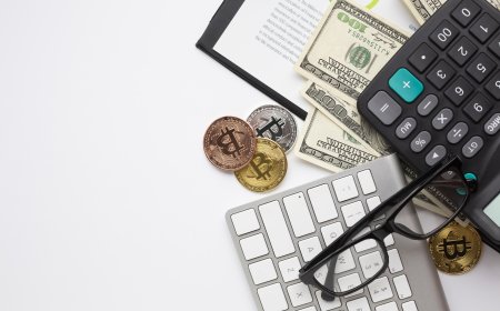 Export and Crypto Law Service