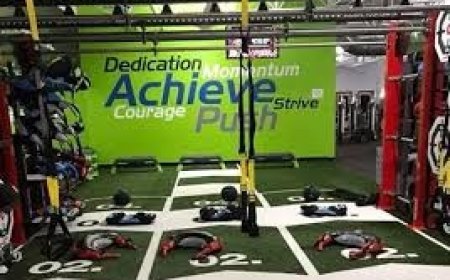 Trying to Level Up? Which Florida Gyms Offer Next-Level Group Training Programs?