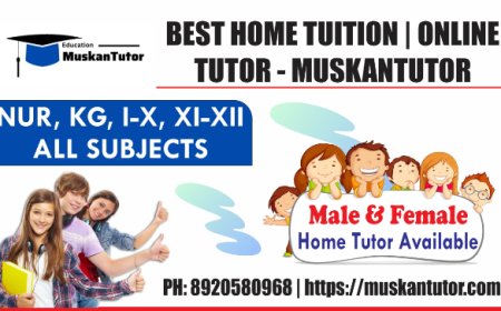 Find Home Tutor Near Me | Reliable Home Tutor Delhi & Rohini