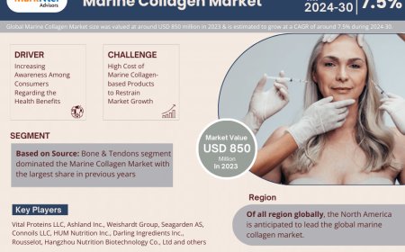 Marine Collagen Market Size, Insights, Growth Rate, Trends Analysis and Forecast To 2030