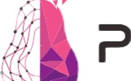 Local SEO company in Atlanta