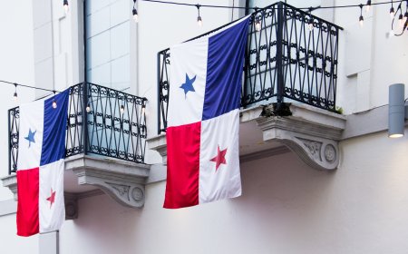 Corporate Tax Lawyer