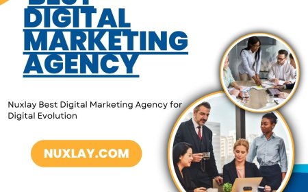 Nuxlay the Best Digital Marketing Agency to Transform Your Brand