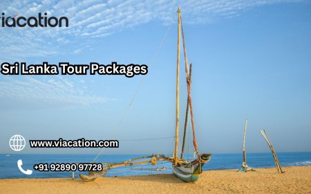 What Are the Best Sri Lanka Group Tour Packages for 2025?