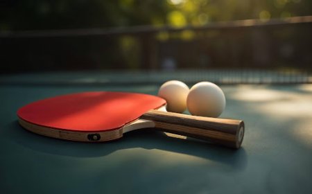 10 Factors to Check Before Ordering a High-End Table Tennis Table