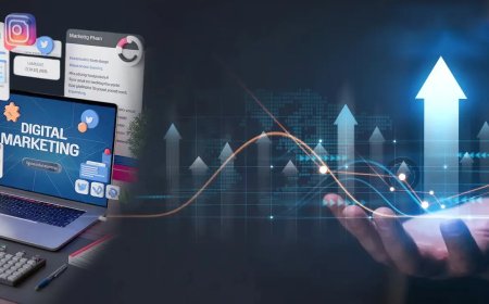 SEO Company in Abu Dhabi | 88gravity Digital Experts