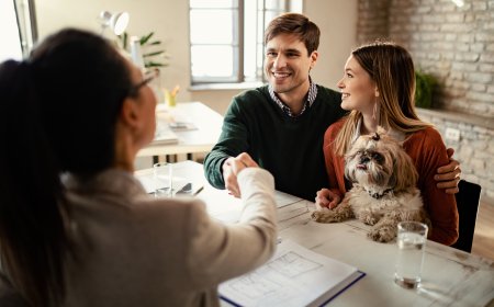 Why Pet Insurance Matters for Every Pet Owner