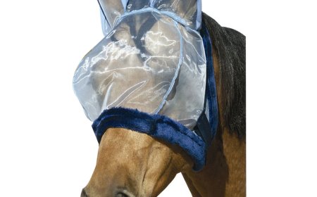 How Fly Masks Help Horses with Sensitive Eyes and Skin