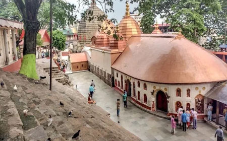 Kamakhya Tour Package – A Complete Spiritual Journey to the Sacred Shakti Peeth