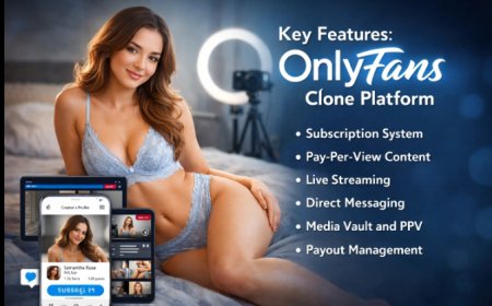 What Are the Key Features You Should Look for in an OnlyFans Clone Platform?