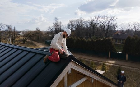 Roofing Services in Denver CO: How Professional Roofing Protects Your Home Year-Round