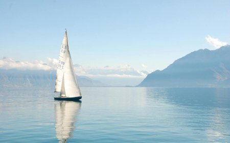 Buy Sails Online with Confidence: A Complete Guide to Choosing the Perfect Sail from The Sail Store