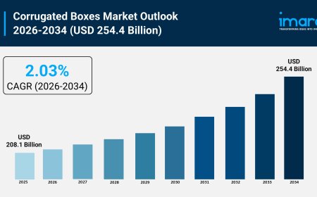 Corrugated Boxes Market Size, Growth & Trends Forecast 2026-2034