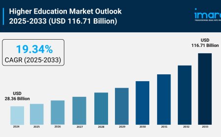 Higher Education Market Analysis, Trends & Growth Forecast 2025-2033